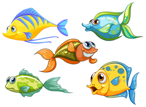 Five colorful fishes