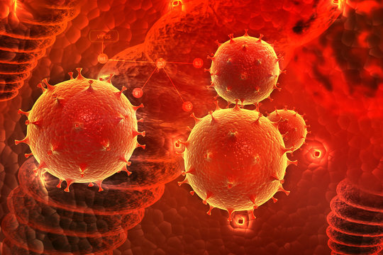 3d virus on a red  background
