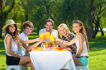 Happy group of teenagers raising a toast.