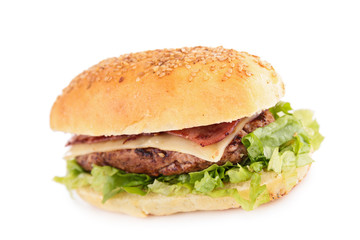 burger isolated