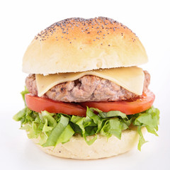 burger isolated
