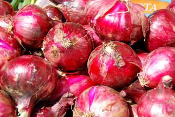 Onion of Tropea - Calabria