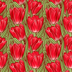 Seamless pattern with tulips