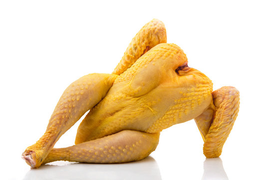 mister pollo