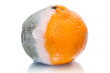 Spoiled tangerine