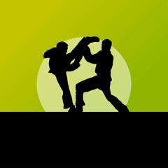 Active tae kwon do martial arts fighters combat fighting and kic