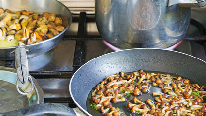 mussels and mushrooms