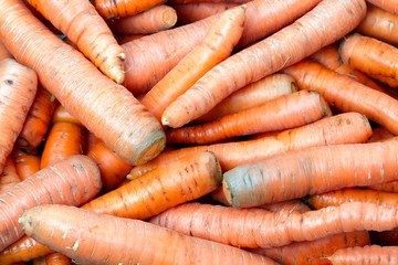 Carrots in the store
