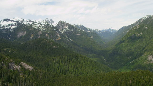 Aerial view forestation tree lined snow caped peaks Canadian Rockies, Canada