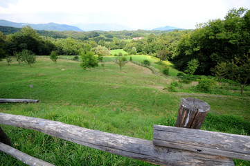 green fields with fence