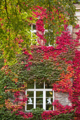 Fototapeta na wymiar Quedlinburg herbstliche Fassade des Jugendamtes