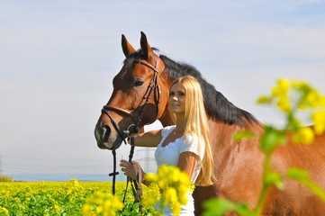 Pferd