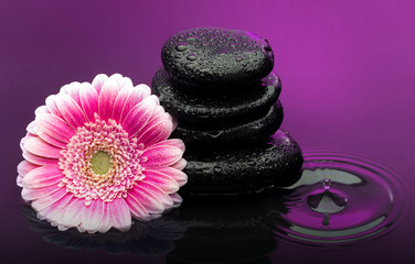 Fototapeta na wymiar Massage stones with big flower and water drops