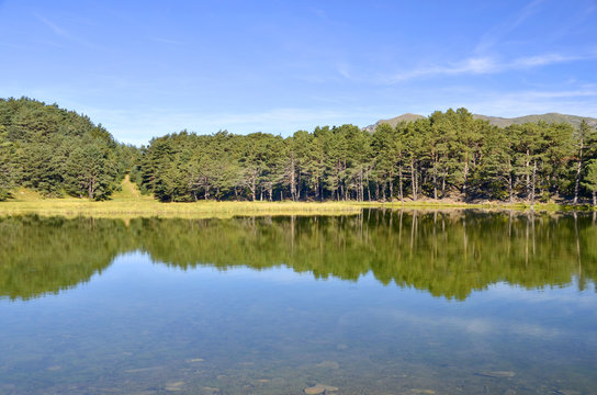 Bassa de oles reflection
