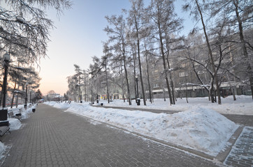 Snow-covered alley in a winter park © cescassawin