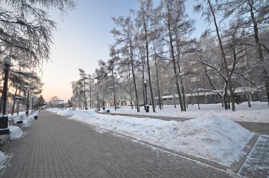 Snow-covered alley in a winter park