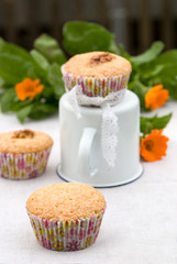 Cupcake