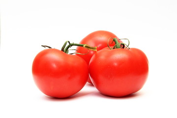 pomodori1