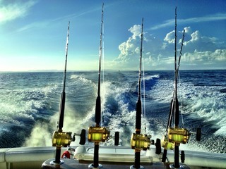 Offshore Fishing - 58544547