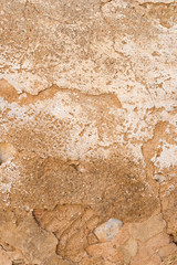 Adobe wall