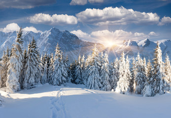 Obraz premium Beautiful winter landscape in the mountains