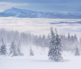 Foggy winter landscape in the mountains