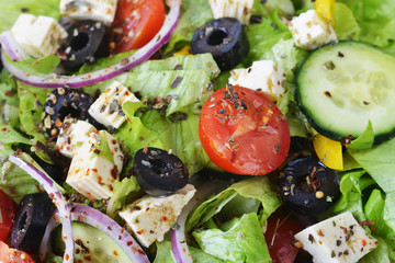 salad with fresh vegetables