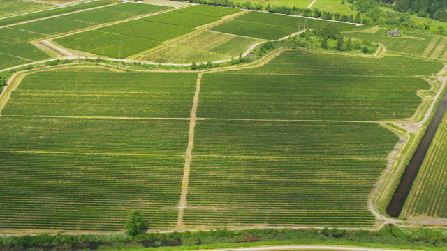 Aerial view Canadian wine producing vineyards, Vancouver, Canada