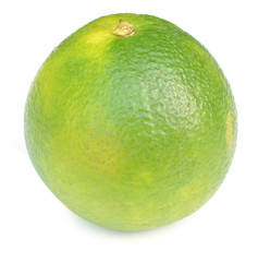 Japanese satsuma tangerines