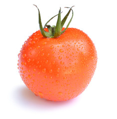 tomato isolated on white