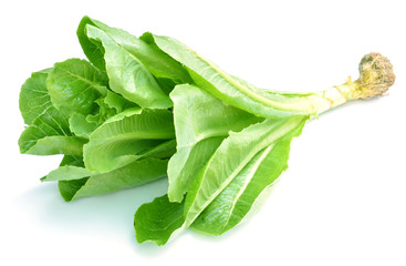 lettuce on white background