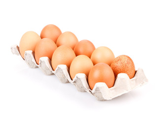 eggs