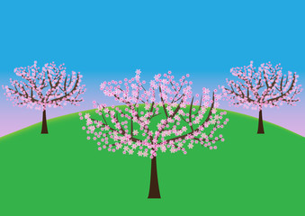 Fototapeta premium flourishing orchard