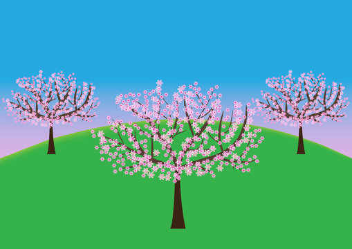 flourishing orchard
