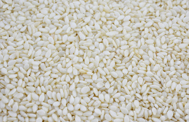Sesame seeds horizontal background