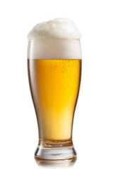 Beer in glass isolated on white background