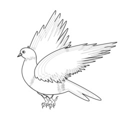 A monochrome sketch of a bird