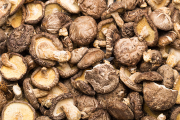 Dried shiitake