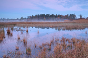 Fototapeta premium Misty autumn sunrise over swamp in Mandefijld