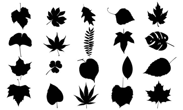 Leafs vector set