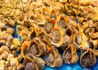 Seafood in food market