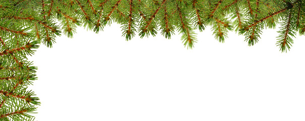 Obraz premium Weihnachtskarte mit Tannenzweigen