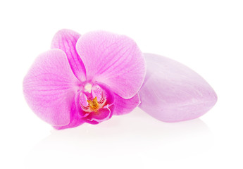 Flower of an orchid and soap