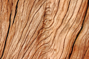 Naklejka premium Beautiful wood texture background.