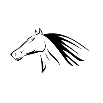 vector cartoon horse head. 2014 - Year of the Horse