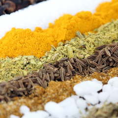 Gewürze - quadratischer Hintergrund