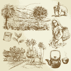 tea plantations - hand drawn set