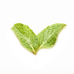 row mint leaves isolated on white background