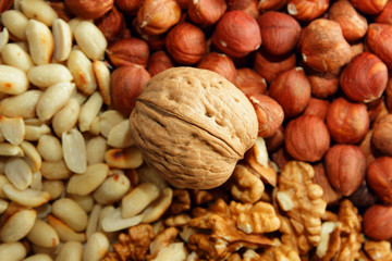 Walnut in the center of the background from the nuts