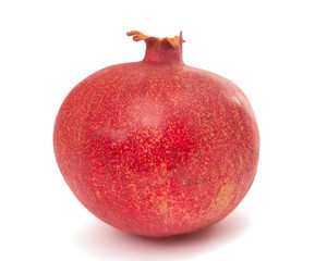 pomegranate fruit